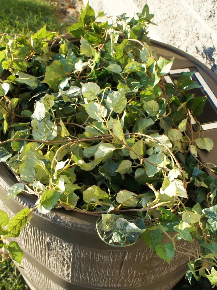 Round Rain Barrel With Planter, 35 Gallons - Image 4