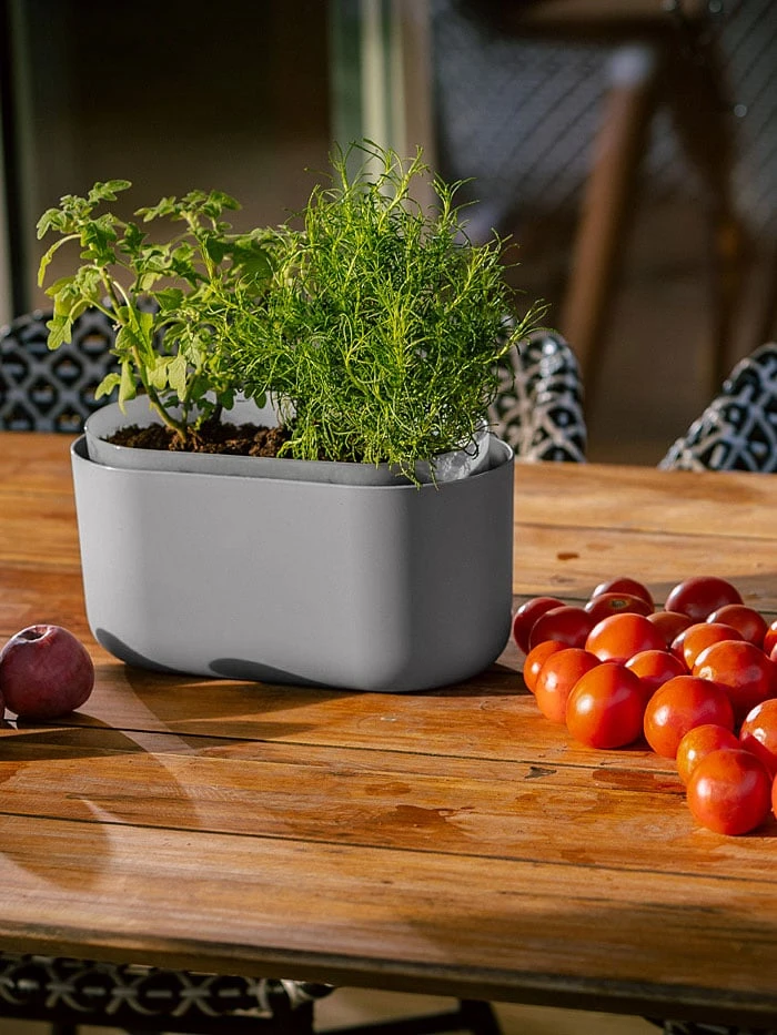 Tolita Recycled Self-Watering Flower Box