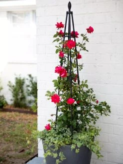 Teardrop Teepee Trellis, 47.25"