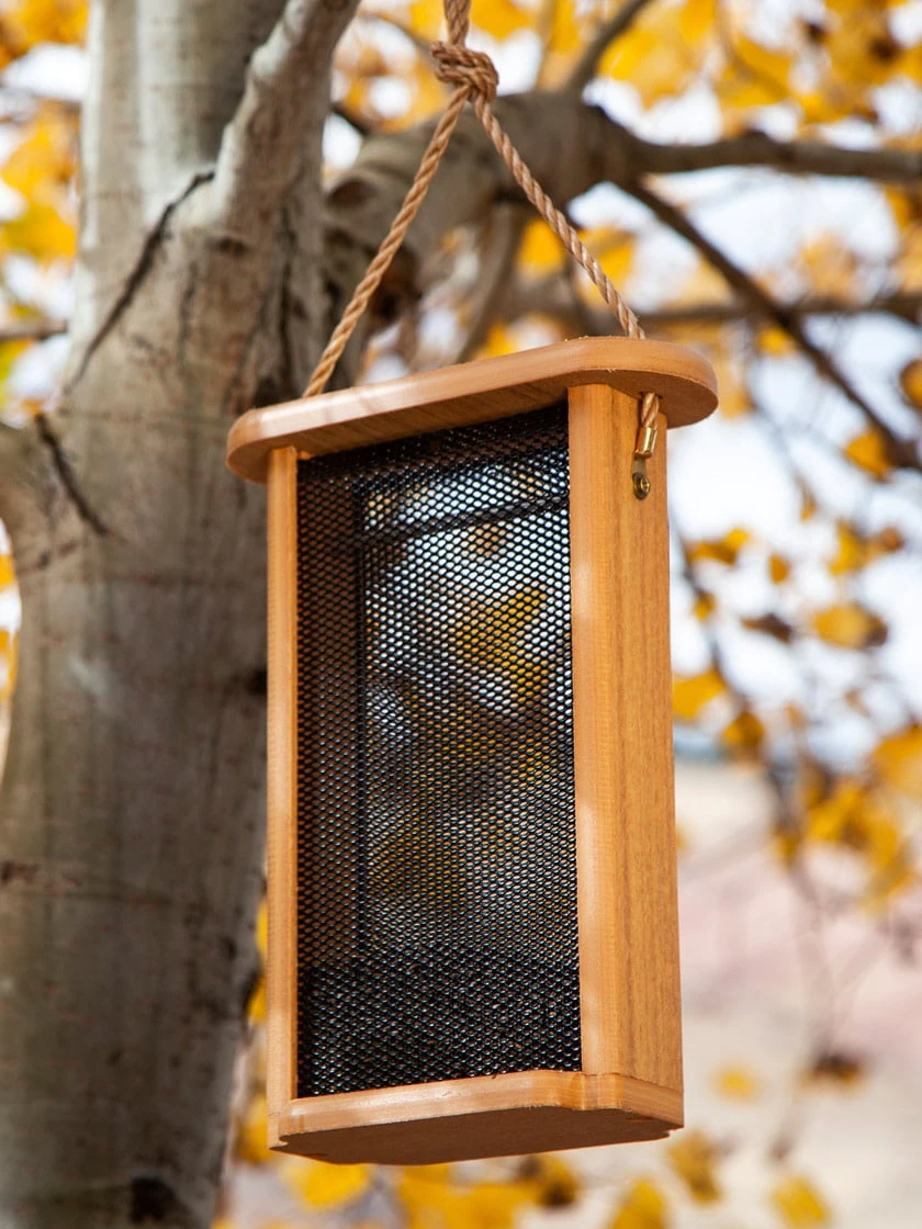 Spruce Creek Tall Finch Feeder