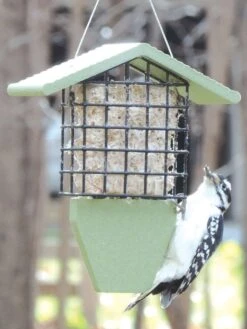 Birds Choice™ Tail Prop Feeder
