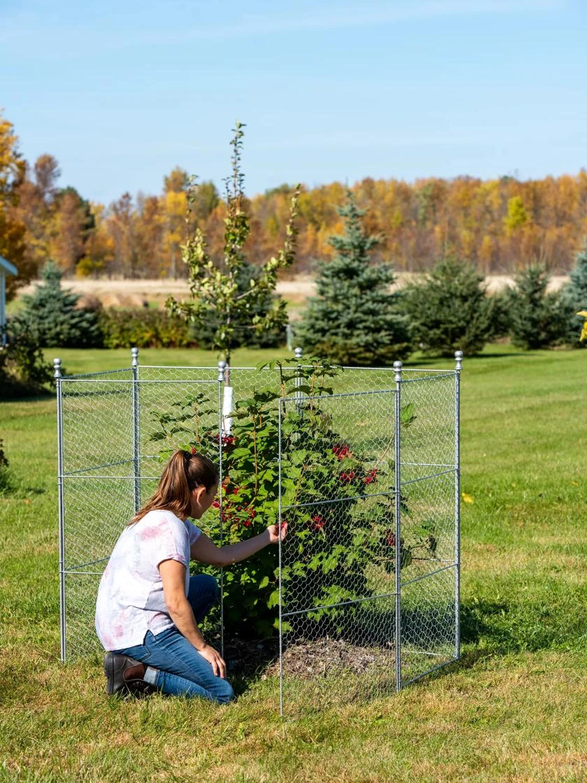 Tall Chicken Wire Critter Fence Extension Panel, Set Of 2 - Image 6