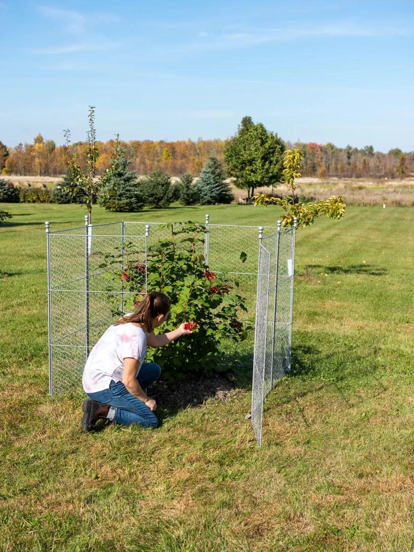 Tall Chicken Wire Critter Fence Extension Panel, Set Of 2 - Image 5