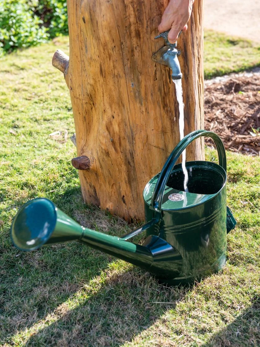 Long Reach Watering Can, Large - Image 3