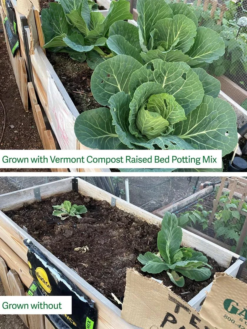 Organic Raised Bed Potting Mix, 20 Quart - Image 2