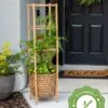Elevated Bamboo Tomato Planter And Trellis