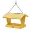 Color Pop Hopper Bird Feeder