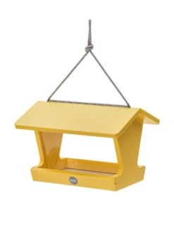 Color Pop Hopper Bird Feeder