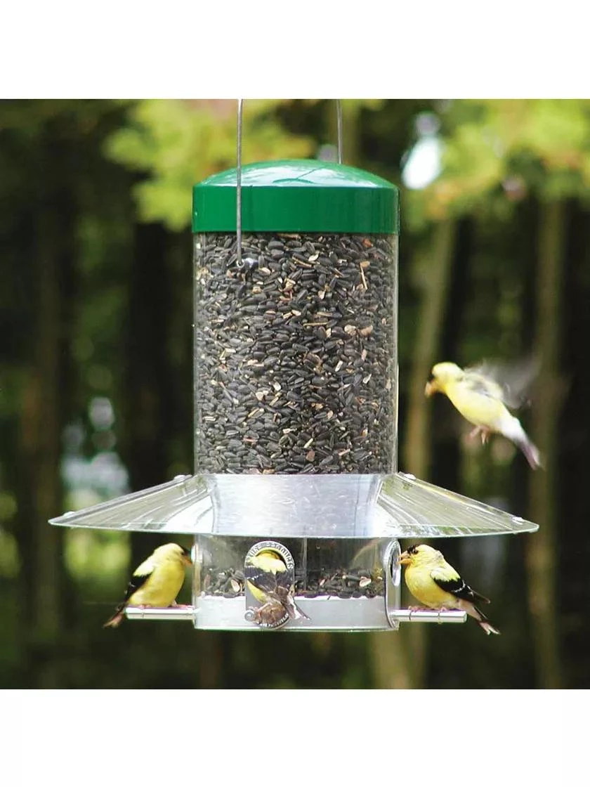 Birds Choice® Classic Hanging Bird Feeder, 12 Inches