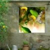 Butterfly Kiss Outdoor Wall Art