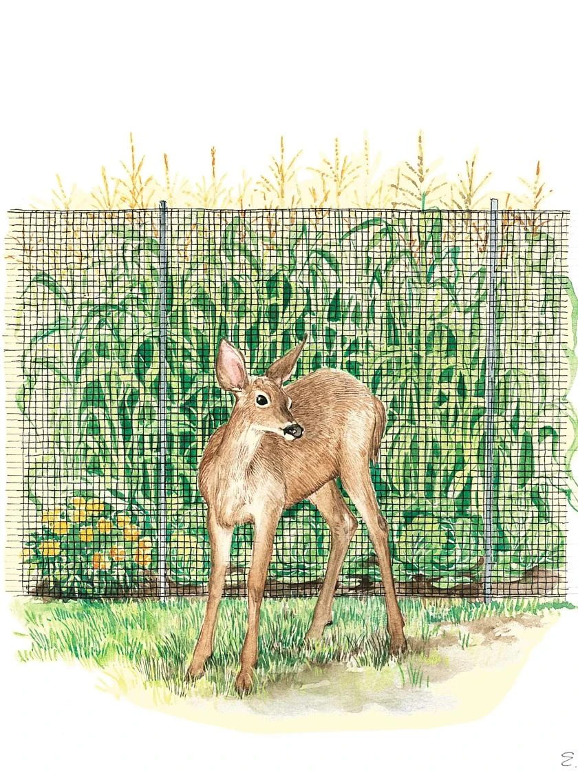 Easy-Up Lightweight Fence