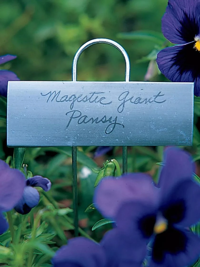 Large Markers, Set Of 25 - Image 2