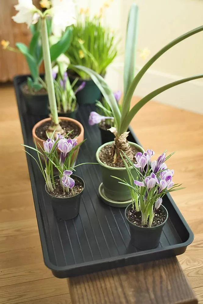 Large Boot Tray - Image 3