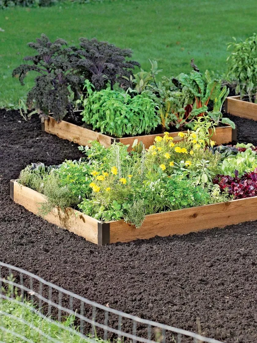 4' Raised Beds - Image 3