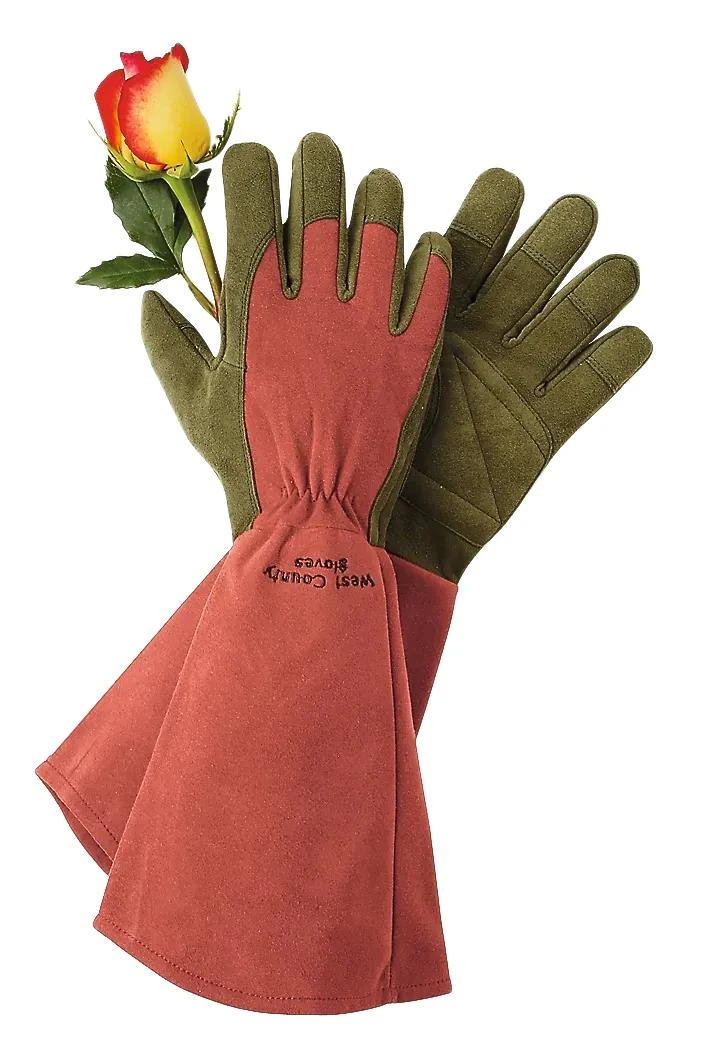 Rose Gloves - Image 3
