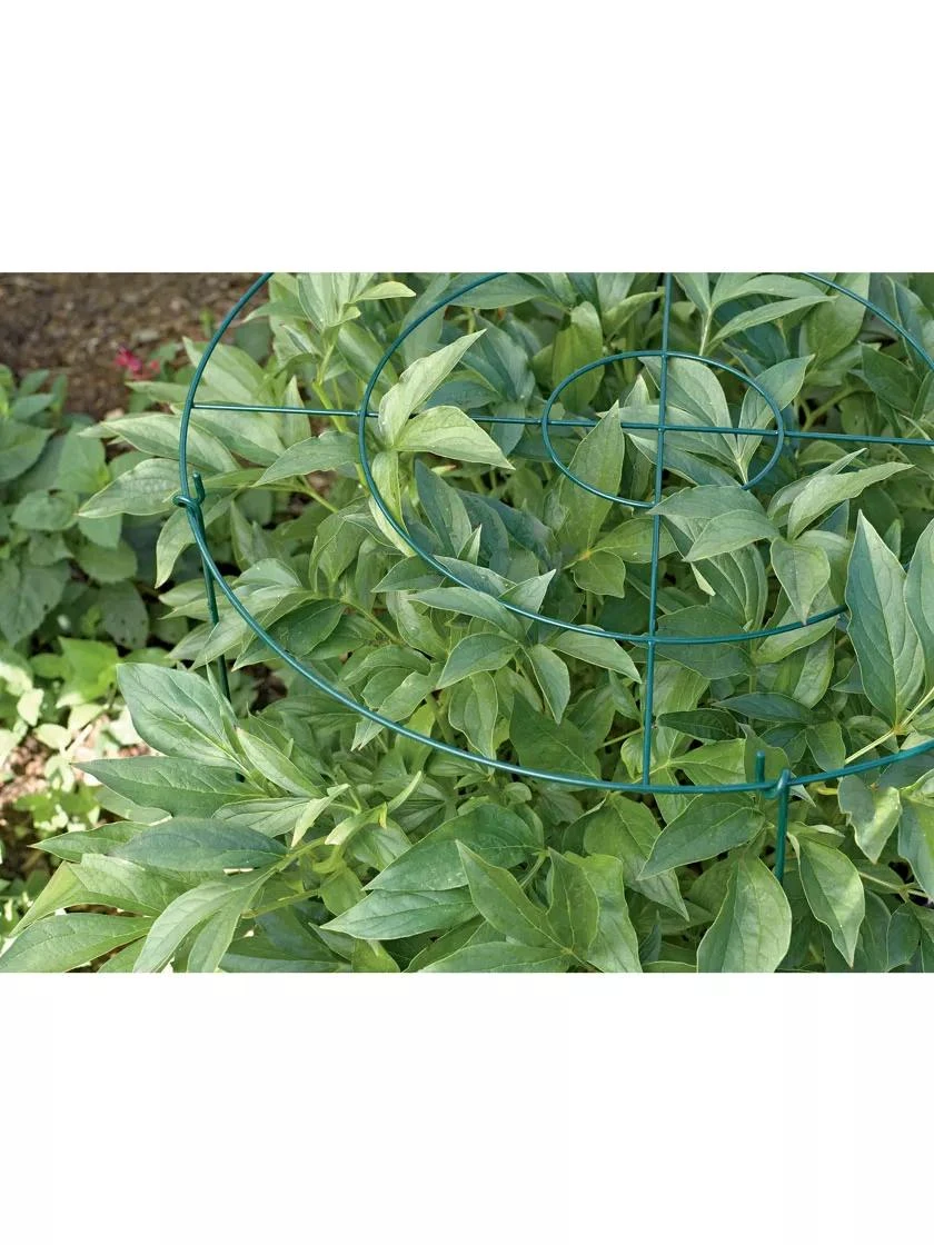 Grow Through Supports, Set Of 3 - Image 4