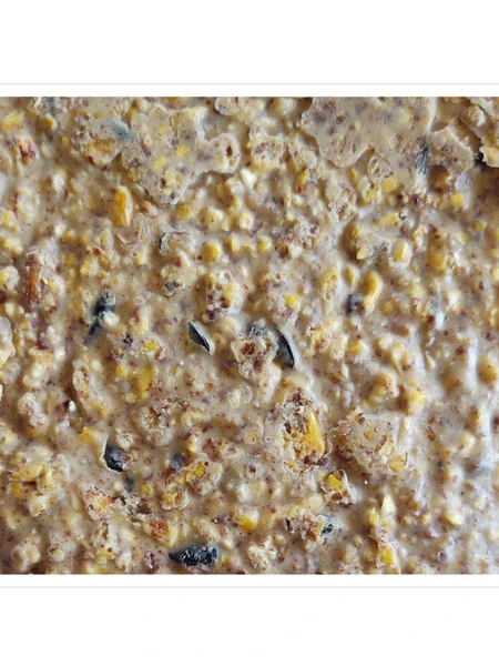 Woodpecker Almond Suet, 11.75 OZ, 12 Pack - Image 4